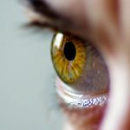 Новости / Samsung GALAXY S7 и LG G5: первые слухи