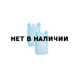 Аккумулятор холода/тепла ICEBERG 200 г. 4802 (2 шт.)