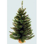 Сосна Триумф Сказочная в мешочке 73537 (60 см)