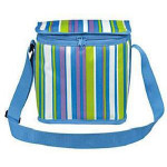 Сумка - холодильник 7 л 1099 (2007)
