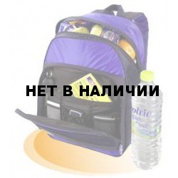 Термоизолированная сумка Thermos Foldaway BackPack Cooler 21l