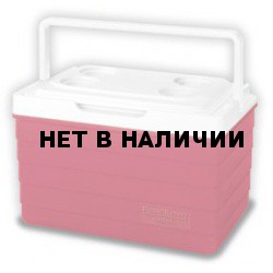 Изотермический контейнер Igloo Picnic Basket 25