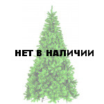 Сосна Триумф Санкт-Петербург 73579 (155 см)
