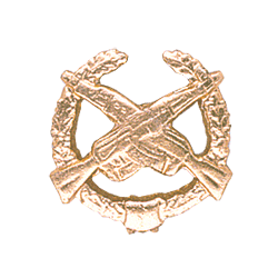 Эмблема петличная Мотострелковые войска повседневная металл