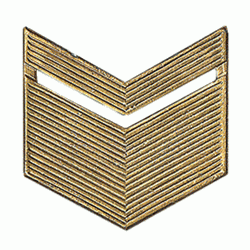 Знак различия ВС старшина повседневный металл