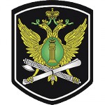 Нашивка на рукав ФССП орел пластик