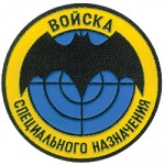 Нашивка на рукав Войска специального назначения пластик