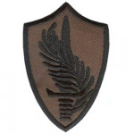 Термонаклейка -1174 Центральное Командование США вышивка