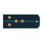 Погоны ПС ФСБ Капитан вышитые золото