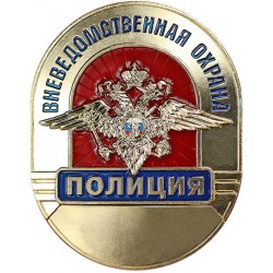 Нагрудный знак сотрудника Вневедомственной охраны