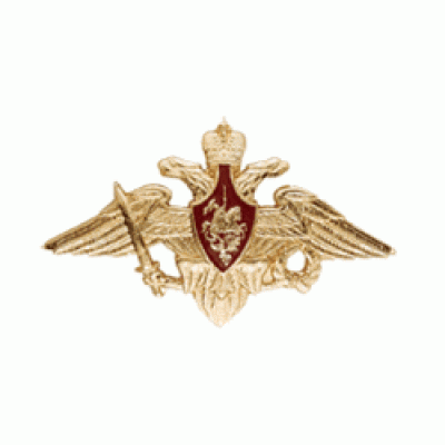 Эмблема Орел ВС на пилотку металл