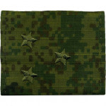 Фальшпогон город оксфорд