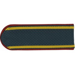 Погоны МВД Курсант (старого образца) пластик