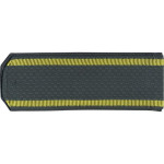 Погоны МВД Курсант без канта