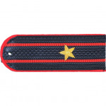 Погоны МВД Полиция Майор вышитые золото