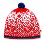 Шапка Kama AW41 (red) красный