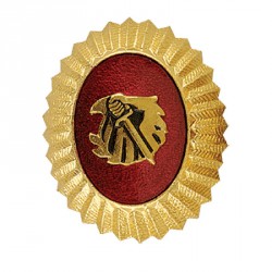 Кокарда Охранник желтая металл