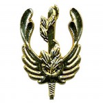 Эмблема петличная Экологическая служба ВС РФ повседневная металл