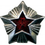 Знак различия Звезда Роспотребнадзор большая металл