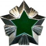 Знак различия Звезда Россельхознадзор малая металл