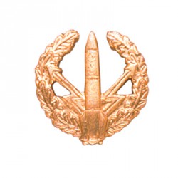 Эмблема петличная РВСН повседневная металл