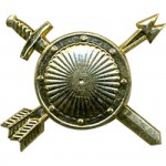 Эмблема петличная РВСН нового образца повседневная металл