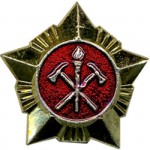 Знак различия Звезда ВДПО большая металл