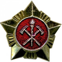 Знак различия Звезда ВДПО большая металл