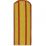 Погоны МО парадные с 2 красными просветами