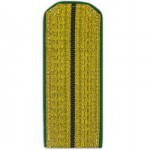 Погоны парадные Морских пограничников с 1 просветом