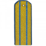 Погоны ВВС-ВДВ парадные с 2 голубыми просветами