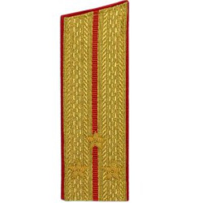 Погоны МО парадные Старшего лейтенанта с вышитыми звездочками (пара)