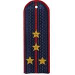 Погоны Полиции Капитана с вышитыми звездочками (пара)