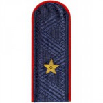 Погоны Генерал-майора Полиции повседневные (пара)