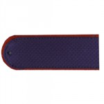 Погоны УИС рядовой