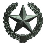 Эмблема петличная Сухопутные войска полевая металл