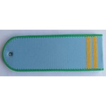 Погоны Росприроднадзор 2 лычки на рубашку тканые