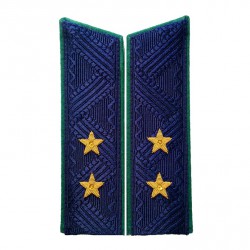 Погоны Прокуратура государственный советник юстиции 2 класса на китель повседневные