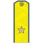 Погоны ФСБ генерал-майор с хлястиком парадные метанит