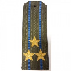 Погоны ВДВ вышитые Полковник повседневные