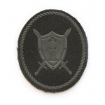 Нашивка на рукав УИС Спецназ полевая пластик