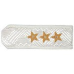 Погоны генерал-полковник ВВ МВД на белую рубашку повседневные