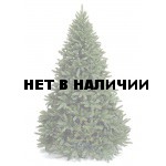 Ель Royal Christmas Washington 230120 (120 см)