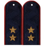 Погоны генерал-лейтенант Полиции на китель повседневные