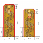 Погоны генерал-майор юстиции Следственный комитет с хлястиком золотые