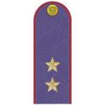 Погоны генерал-лейтенант ФСИН на китель повседневные