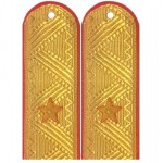 Погоны генерал-майор МВД с хлястиком парадные метанит