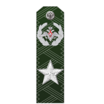 Погоны действительный государственный советник РФ 1 класса ФГГС МО повседневные