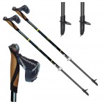 Телескопические палки для скандинавской ходьбы TRAINING SPEED 01N0516