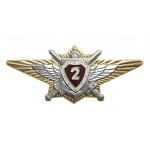 Нагрудный знак Классность о/с ВВ МВД 2 металл